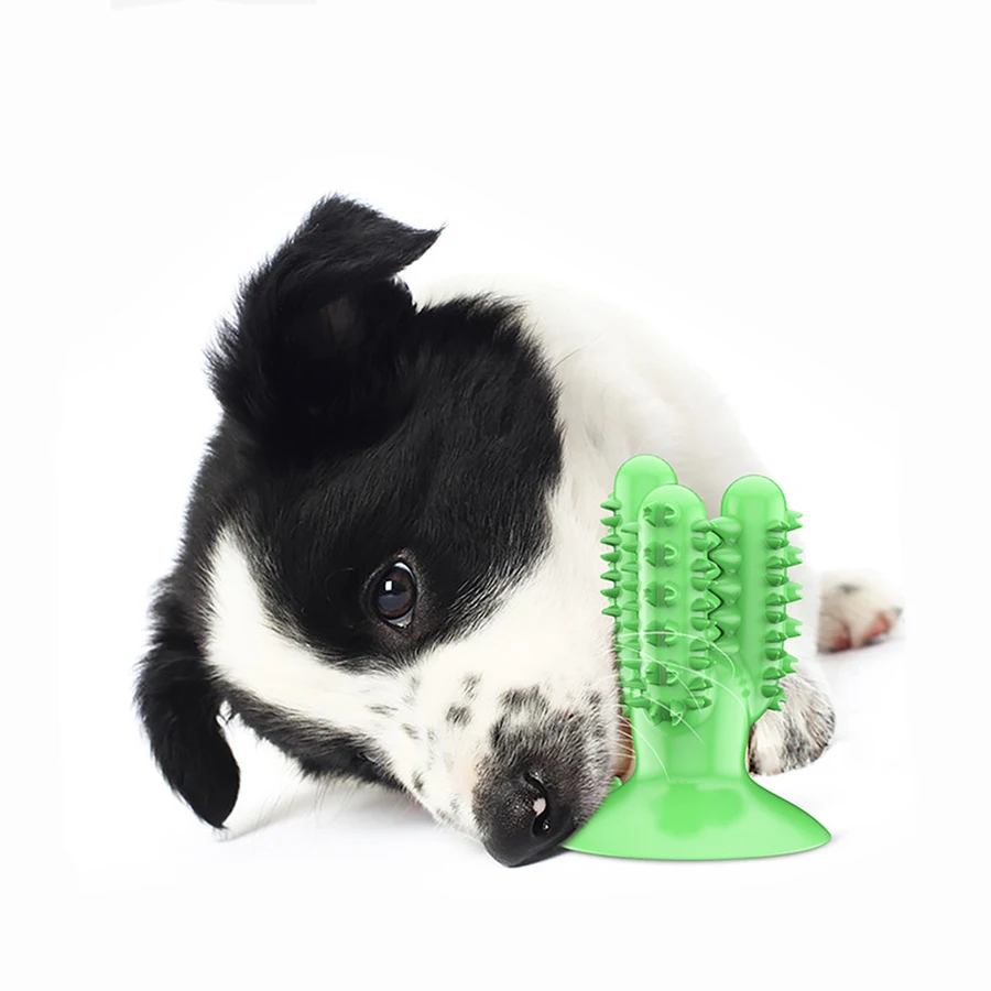 

Dental Chew Toys for Dogs Healthy Fresh Puppy Teeth Cleaning Brush Cactus Large Breed Dog Molar Toothbrush Stick Pet Supplies