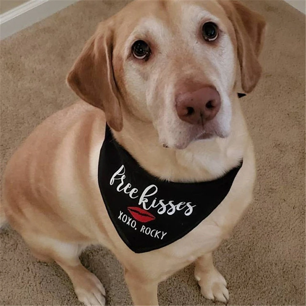 Online nome de bandana de cachorro