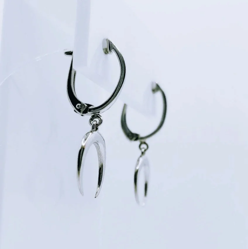 Earrings. The trend of 2022. Women's earrings. &quotLunnitsa&quot. 925 silver. Ms. weight 2.5 gr. | Drop Earrings