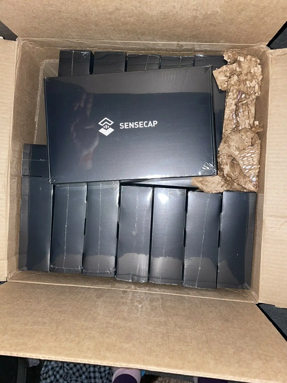 

JD SENSECAP M1 Hotspot Helium CN470 US915 au915 eu868 по лучшей цене