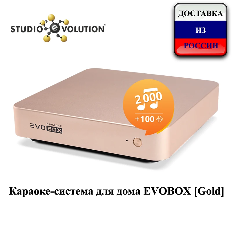 Караоке система для дома EVOBOX [Gold]|Караоке и микшерные пульты| |
