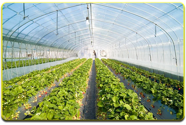 Система отопления почвы в теплицах Green Box Agro 14GBA 500Вт площадь обогрева 5м2|Садовые