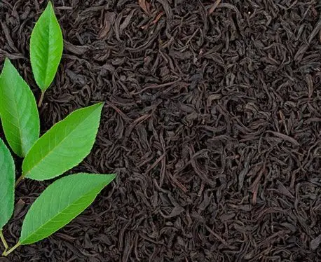 Бета чай отборная качественная металлическая упаковка 100 г (Ceylon cayi Ceylon Tea)|Наборы