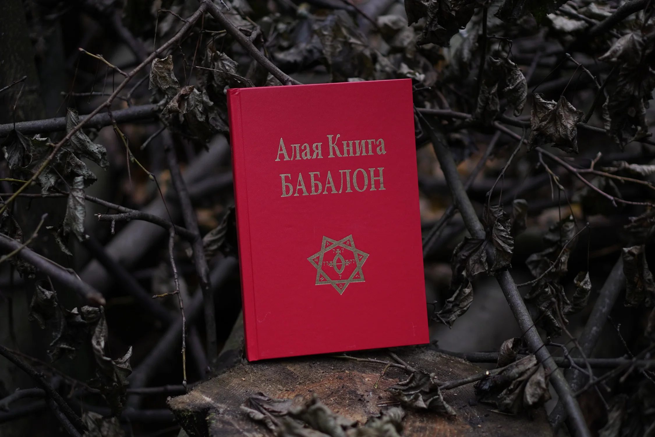 книга алый камень. книга бабалон. алая книга западных пределов. алая буква натаниэль готорн книга. алой книги западных приколов.