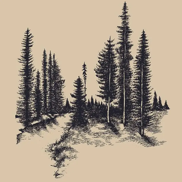 Занавес горный лес сосновые деревья река природа сельская местность