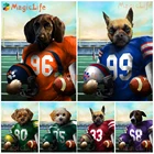 Постер на стену с изображением животных, собак, кошек, регби, американского футбола