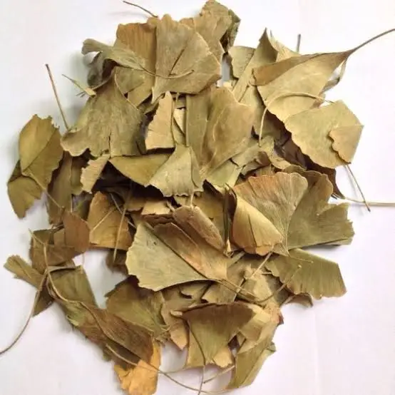 Высококачественный чай из натурального высушенного чая Ginkgo biloba 50 gr 400 Бесплатная