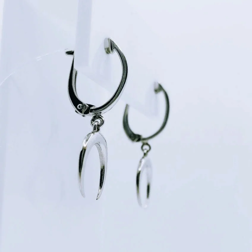 Earrings. The trend of 2022. Women's earrings. &quotLunnitsa&quot. 925 silver. Ms. weight 2.5 gr. | Drop Earrings