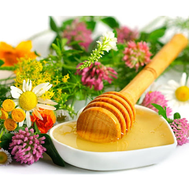 Honey Altai &quotmotley grass&quot-100% natural honey manual filling. 1400гр | Красота и здоровье