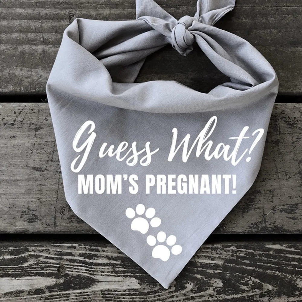 Price para que servem as bandanas para cães