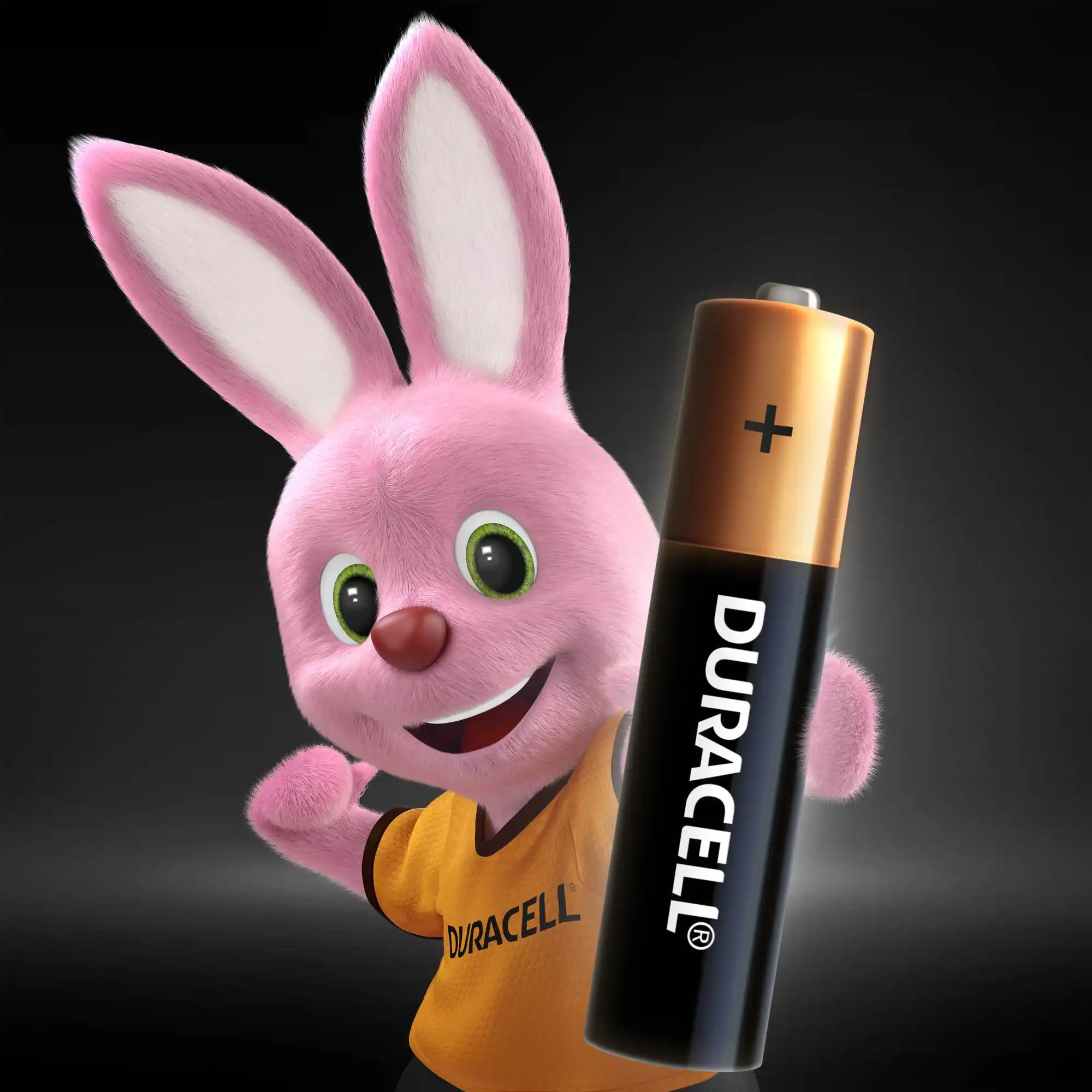 Батарейки щелочные Duracell Basic ААA/LR03-6BL 6 штук | Электроника