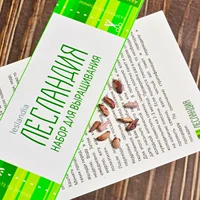 Обзор самых качественных и бюджетных товаров#2