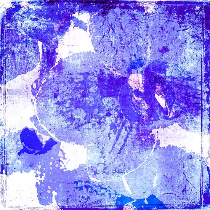 

Curtain Orchid Flowers Floral Patterns Retro Distressed Grunge Style Artwork Printed Purple White