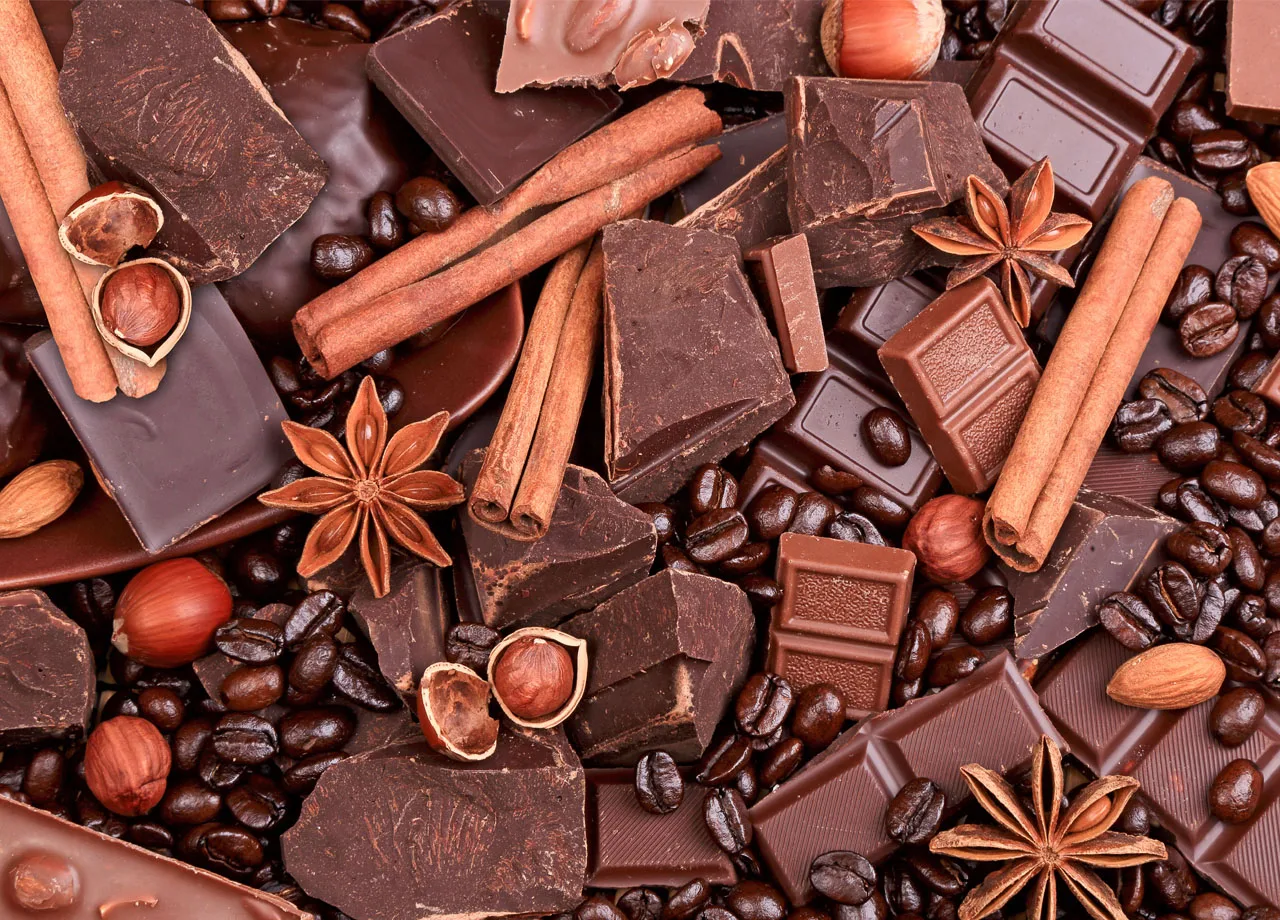 Цвет ковра Ryota fancy 60x90 Choco коричневый|Ковер| |