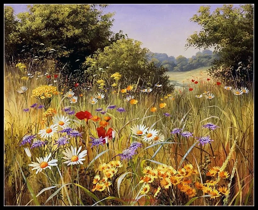 Counted Cross Stitch Kits Needlework Embroidery - Crafts 14 ct Aida DMC Color DIY Arts Handmade Home Decor Summer Wildflowers | Дом и сад