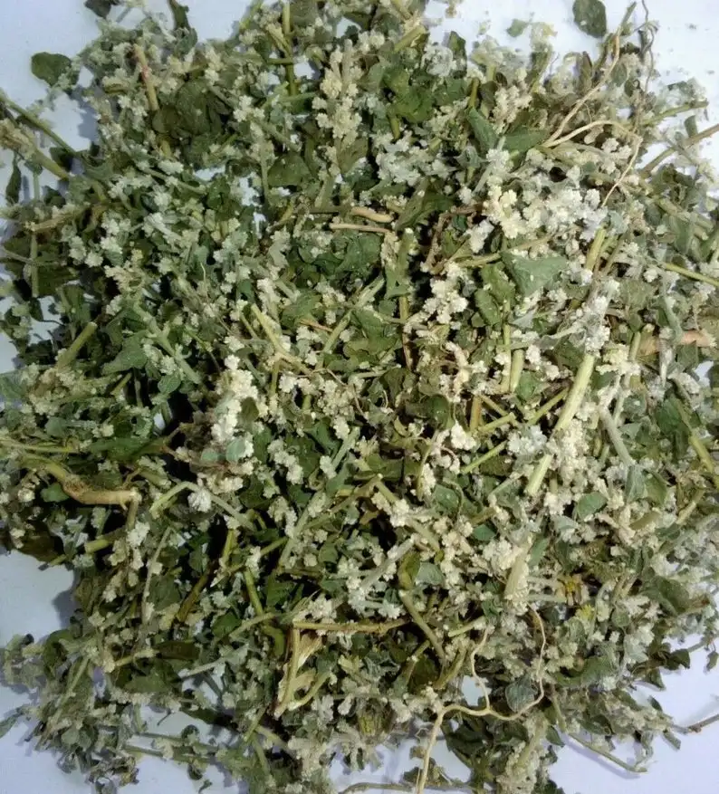 200g Natural Organic Polpala Herbal Tea (Aerva lanata) |