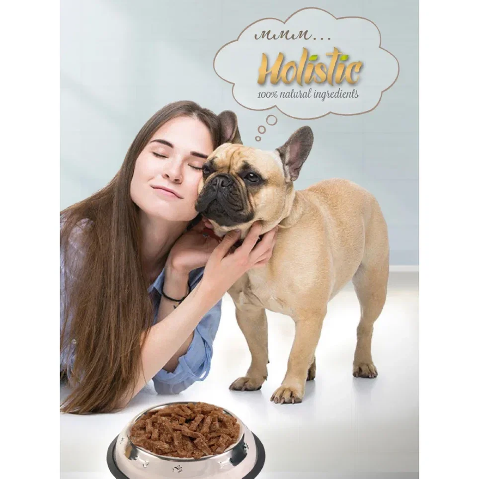 Зоогурман / Корм консервированный Holistic 100 г х 24 шт Ягненок с рисом и овощами для
