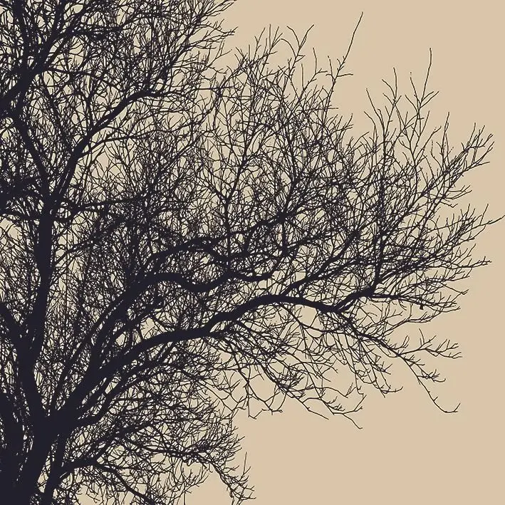 Штора для душа из кожи ветви дерева зимний уличный силуэт природа пейзаж бежевый