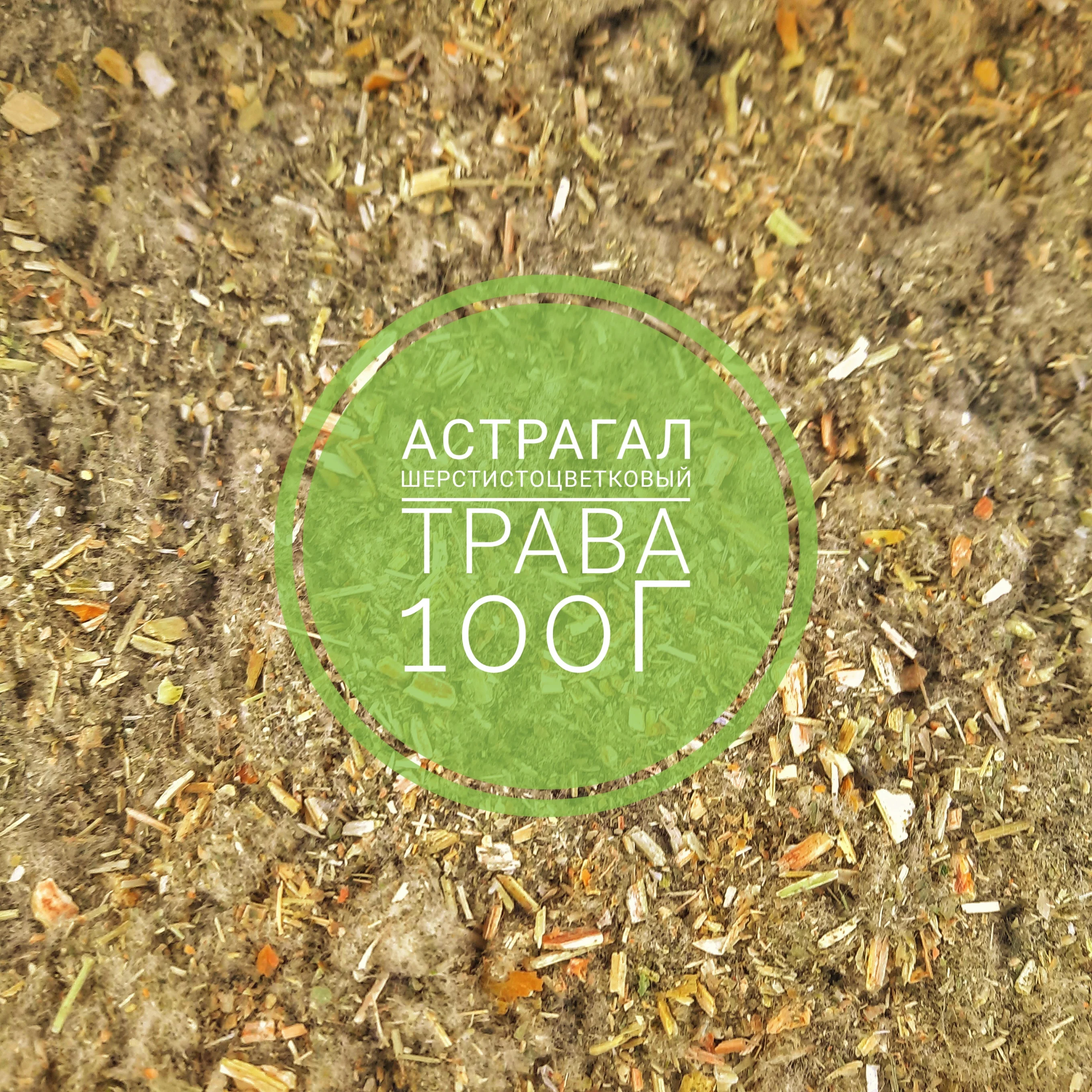 Астрагал шерстистоцветковый трава 100 гр. | Дом и сад