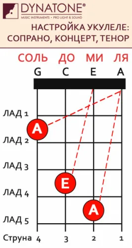Струны для укулеле сопрано 4U AQUILA | Спорт и развлечения