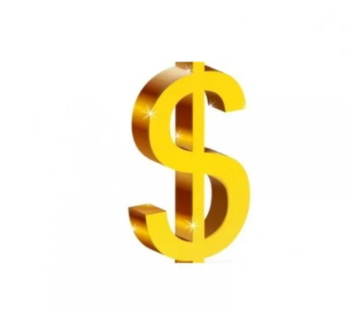 

Customer Shipping Fee