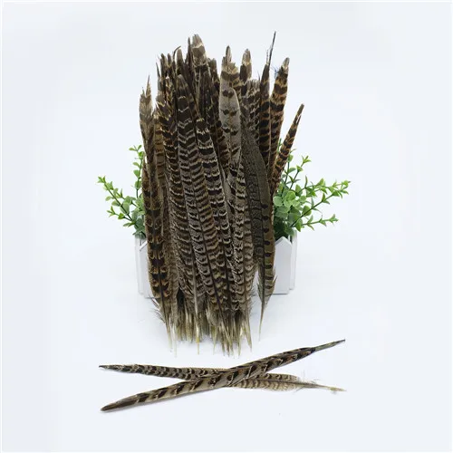 natural Женское перо из хвоста фазана 25-30 см/10-12 дюймов натуральное кольцо шейный фазан хвост фетр для поделок своими руками Свадебные украшения - Цвет: natural