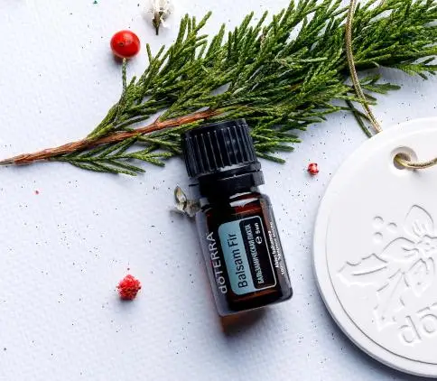 Essential oil doTerra бальзамическая fir balsam 5 ml | Oil