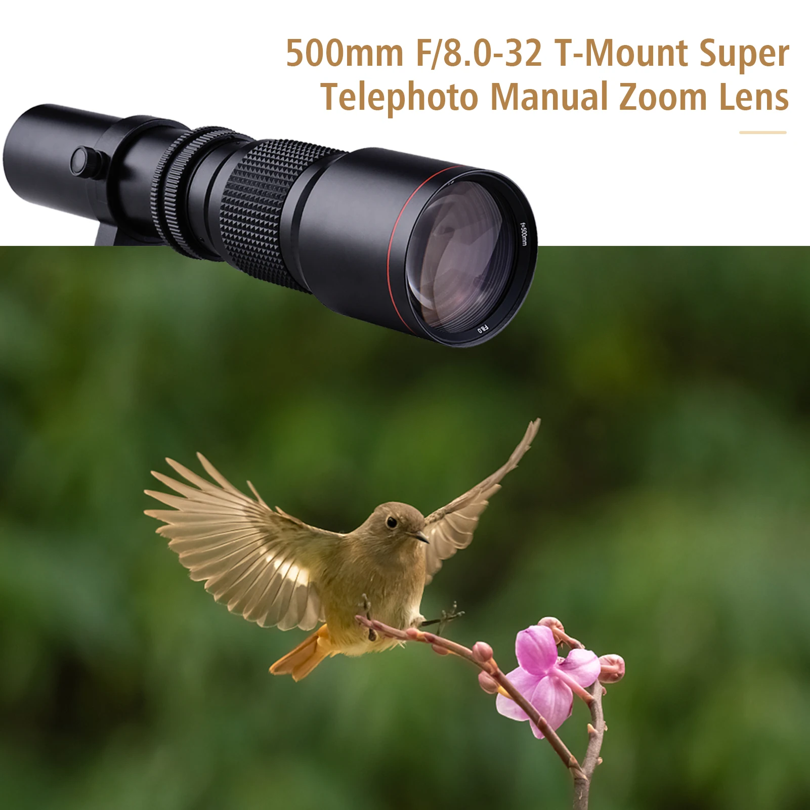 Супер телеобъектив для камеры 500 мм F/8 0-32 ручной зум T-Mount UV/CPL/FLD фильтры 2x500