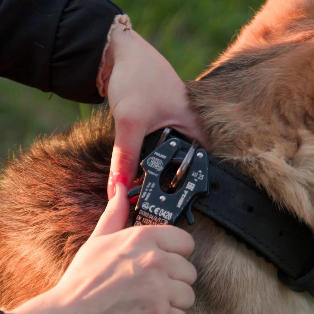 Professional leash for Dogs series &quotA" with carabiner-self-gripper | Дом и сад