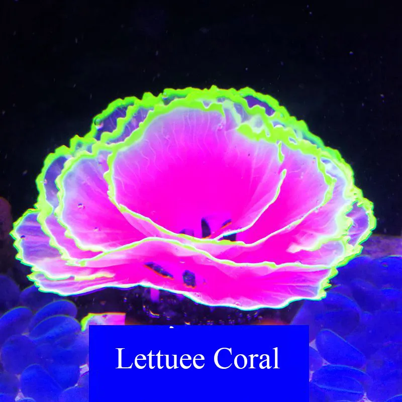 

Aquarium Decoration Artificial Simulation Fishbowl Fluorescent Flower Coral Ornaments Fish Tank Home Decoration Accessories
