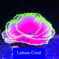 aquarium decoration artificial simulation fishbowl fluorescent flower coral ornaments fish tank home decoration accessories