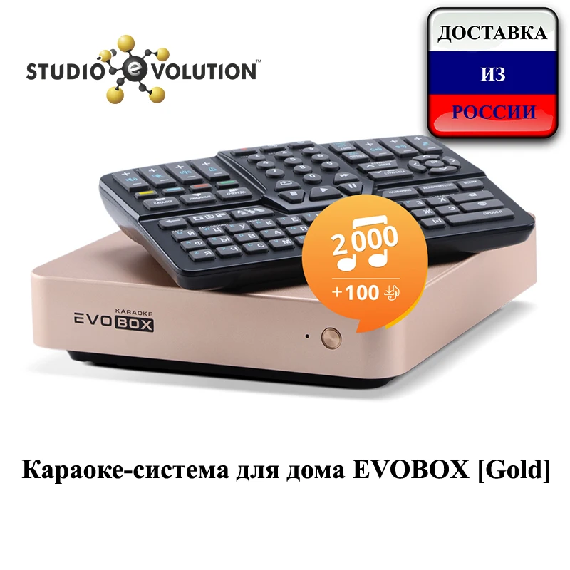 Караоке система для дома EVOBOX [Gold]|Караоке и микшерные пульты| |