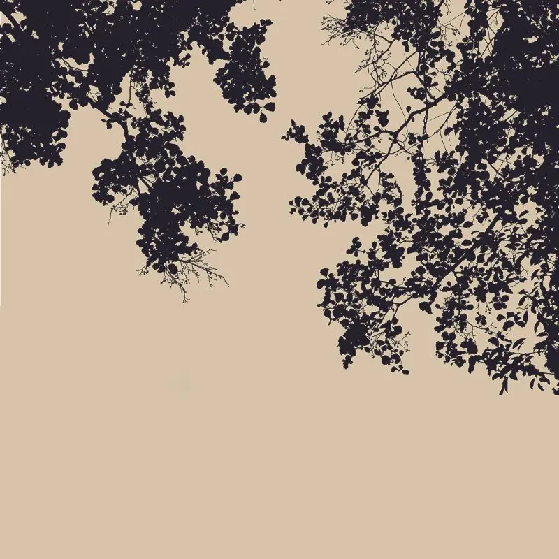 

Curtain Tree and Branches Silhouette Summer Days Evening Dark Forest Foliage Wild Nature Black and Beige Photo Printed