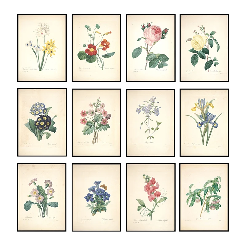 

Vintage Botanical Studies Canvas Painting Posters and Prints French Plant Illustrations Botany Wall Art for Home Decor