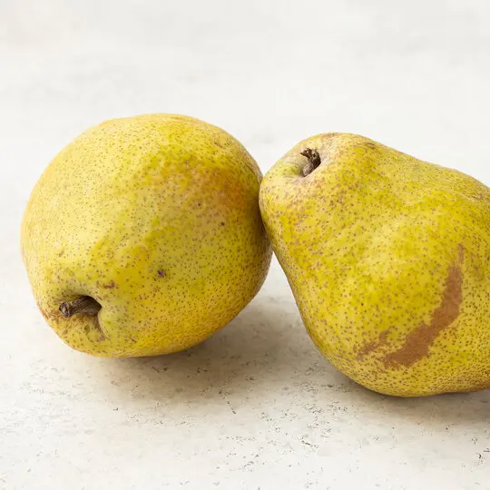 Груша Триумф 25 г. |