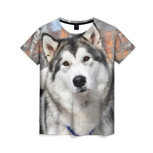 Dior одежда: низкие цены купить в