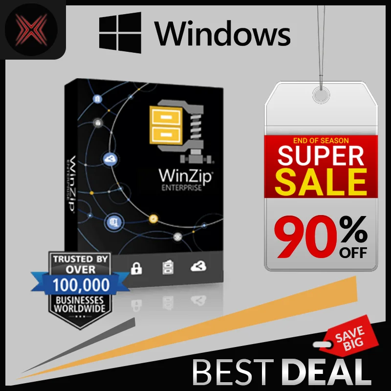 

WinZip Pro 2021 license for life
