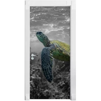 Популярная настенная дверь морская черепаха 3D дверная наклейка с животными