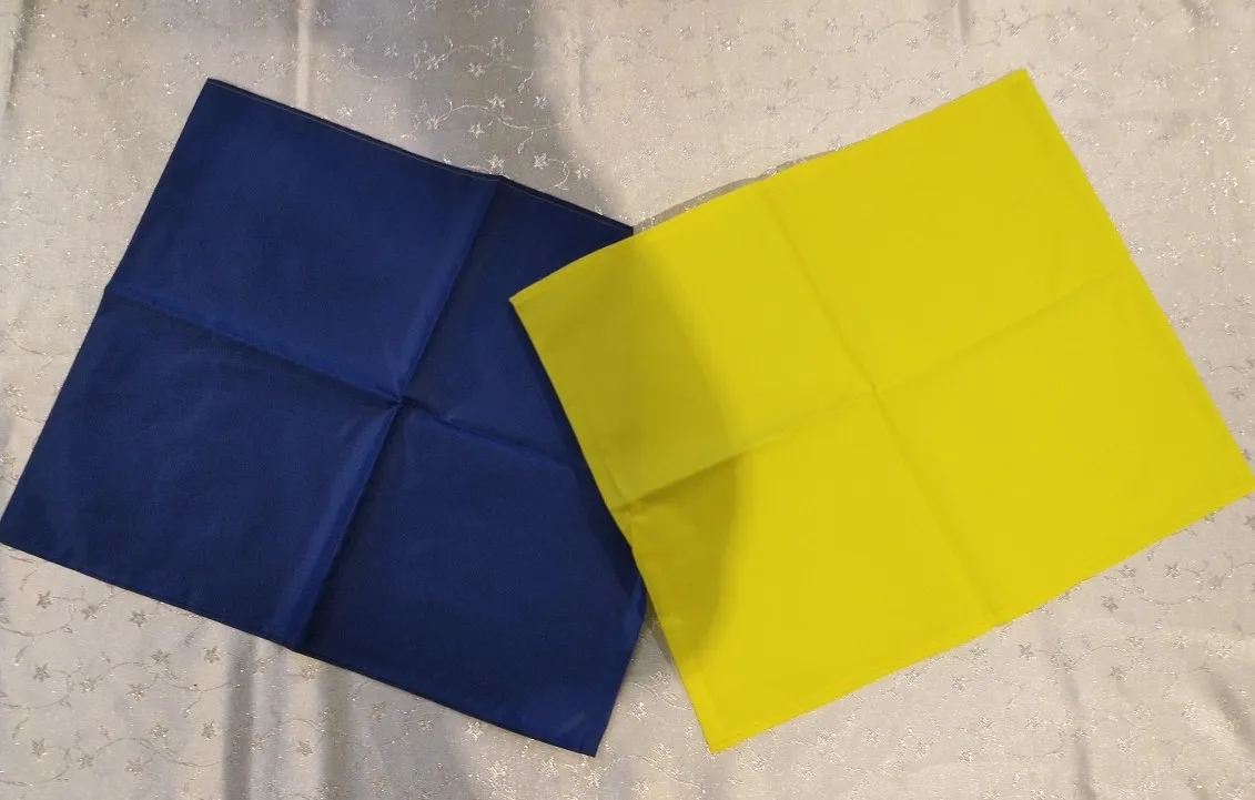 Шорты &quotДвойка&quot (эстафетные) |