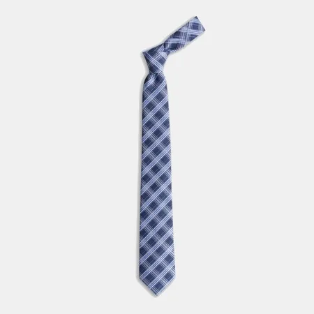

Navy blue White Plaid Print Blue Silk Tie 67825523