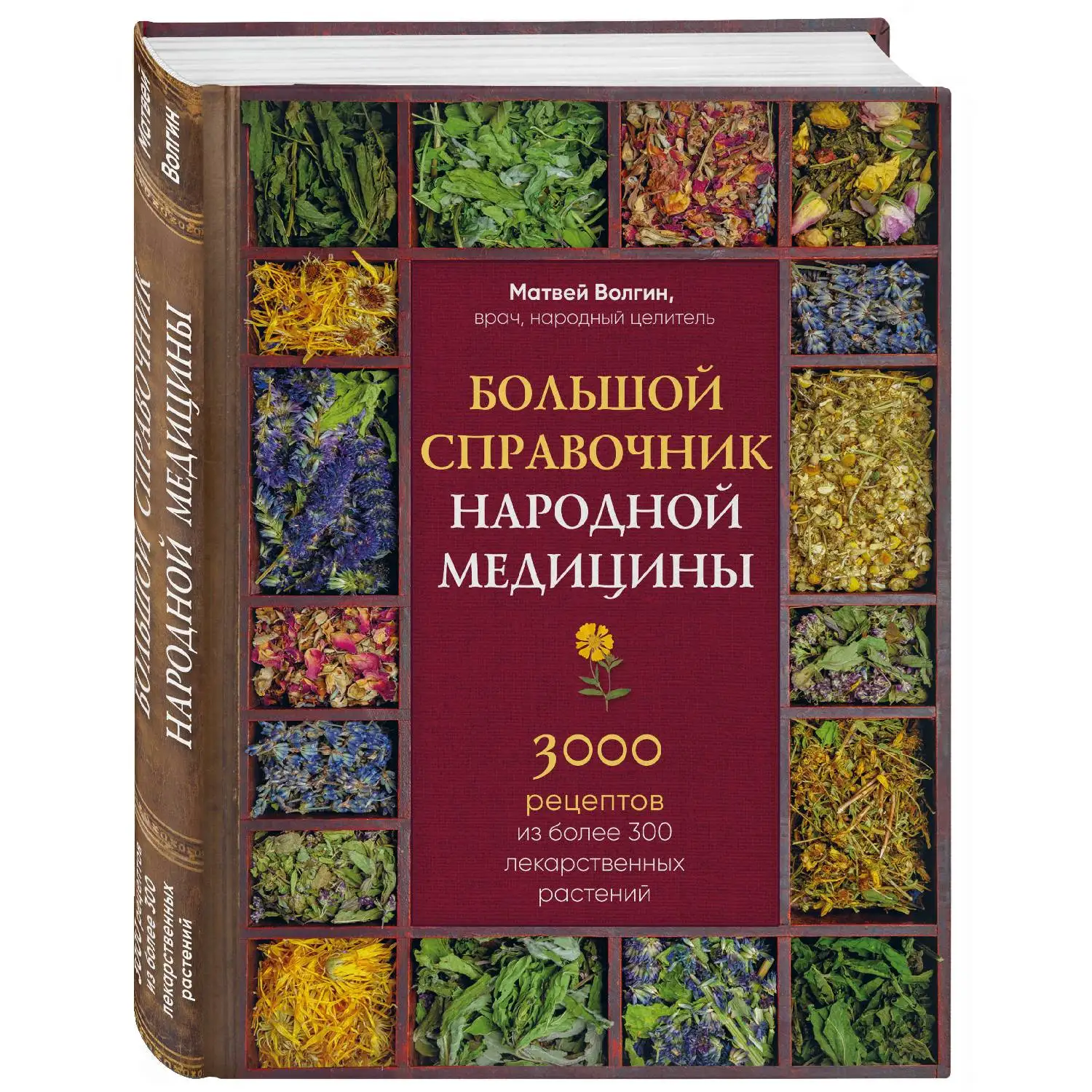 Большой справочник народной медицины. 3000 рецептов из более 300 лекарственных