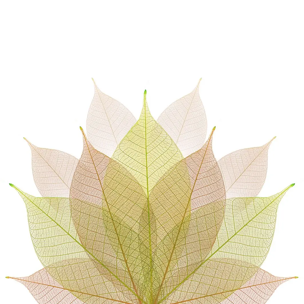 

Curtain Fall Leaves Nature Tree Branch Minimalistic Soft Colored Artwork Printed Green Pink