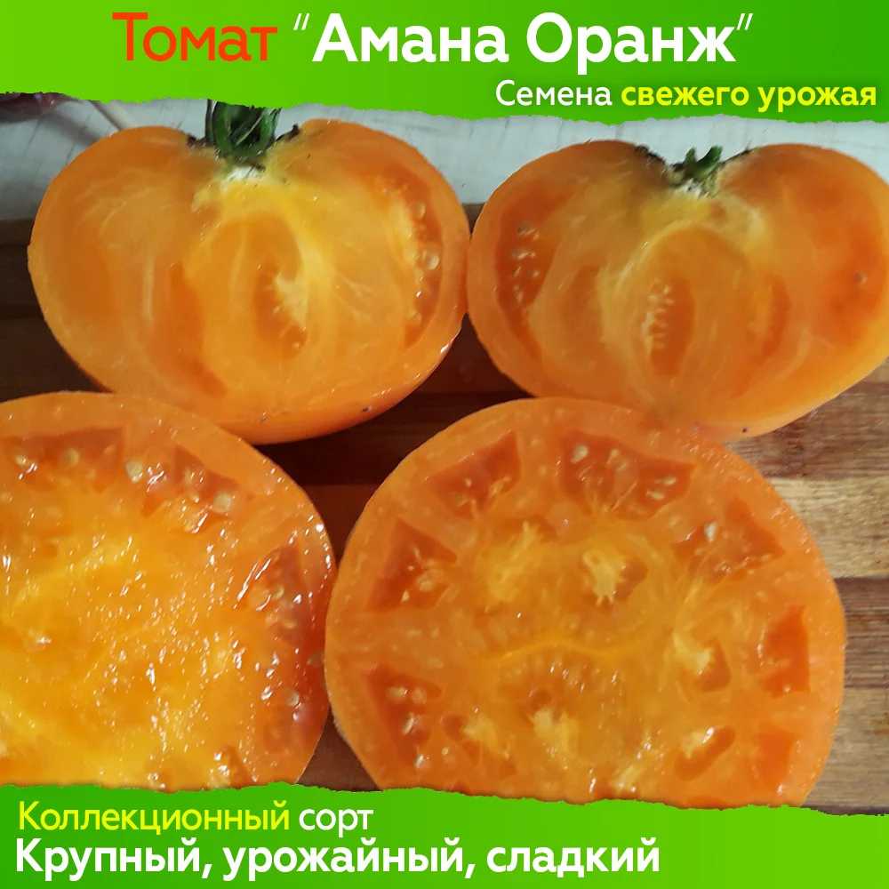 томат оранж биф f1. томат амана оранж f1 партнер. томат оранж характеристика и описание сорта. томат оранж характеристика и описание сорта. томат амана оранж f1 партнер.