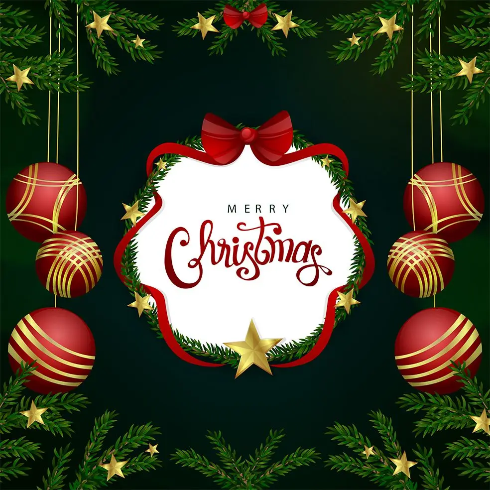 

Curtain Garland with Pine Tree Branches Decorative Balls Stars Merry Christmas Decoration Artwork Red Green Black