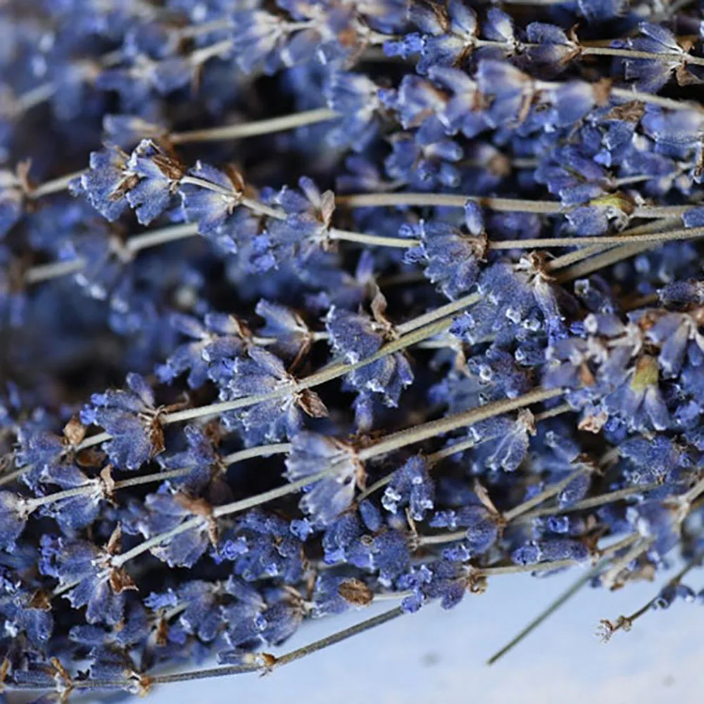 

Natural Dried Flowers Lavender Aromatherapy Home Decoration Flower Arrangement Aroma Making Handmade Crafts Gifts