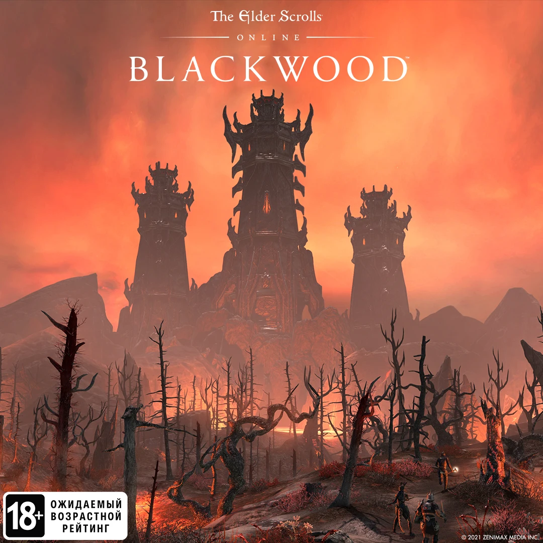 The Elder Scrolls Online: Blackwood (Steam) (PC) [цифровая версия] | Цифровые товары