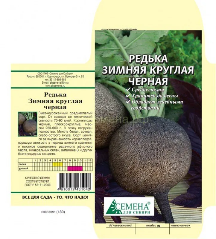 Семена Черной Редьки Купить