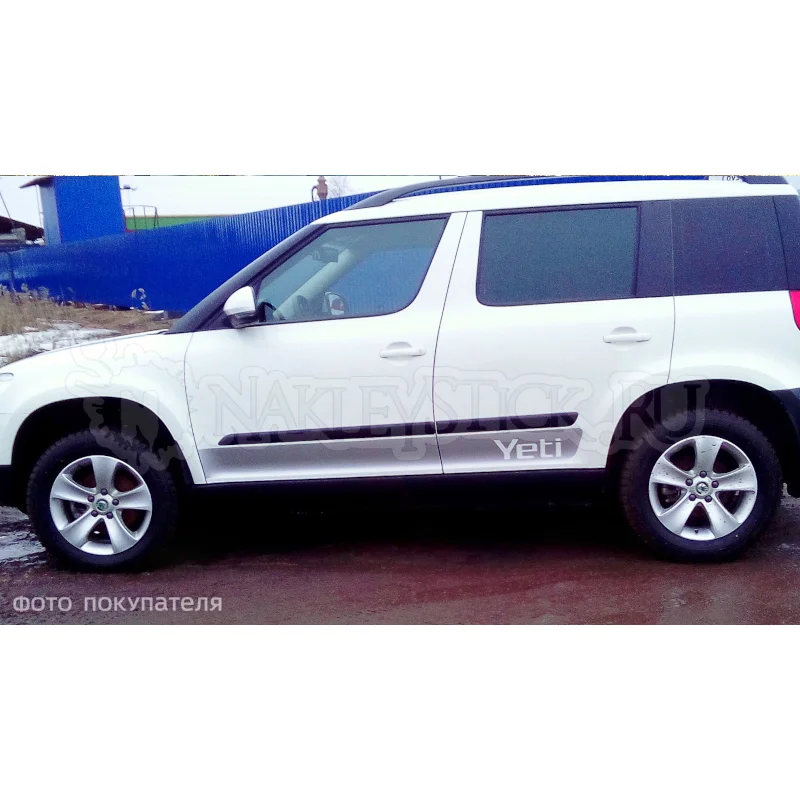 Купить Дверь Шкода Етти