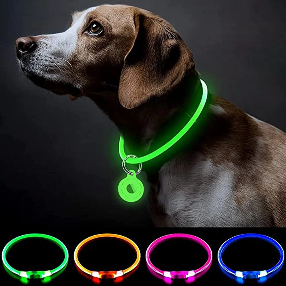 Светящийся ошейник для собак мелких пород. Светящийся ошейник для собак. Rungo ошейник светящийся силикон. Светящиеся ошейники для кошек. Светящийся ошейник для собак с usb зарядкой.