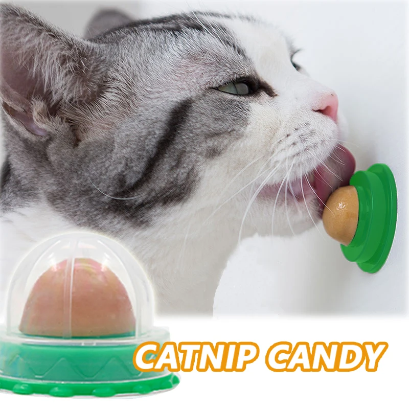 

100PCS/Set Cat Catnip Cat Toys Healthy Nutrition Cat Lollipop Cat Mint On The Wall Cat Energy Ball Candy Snacks Goods Cats